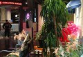 酒店行业招聘文案（探索酒店领域新机遇：诚邀精英加入我们的团队）