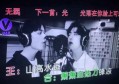招聘宠物模特文案简短（寻找萌宠之星：宠物模特招募启事）