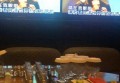 杭州萧山区北干街道附近夜总会招聘包厢气氛租,(不压工资待遇好的)