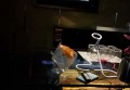 杭州上城区紫阳街道附近夜场招聘商务礼仪,有没有年龄限制_