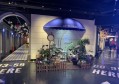 夏天招聘的文案（夏日炎炎，诚邀您共筑职场新篇章）